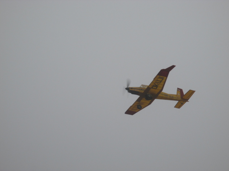Tynec 2013 046.jpg
